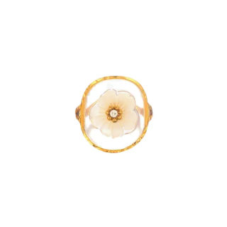 Ringelblumenblüte