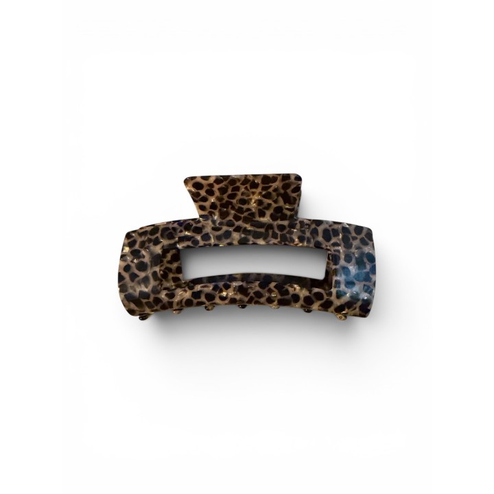 Leo Statement Clip